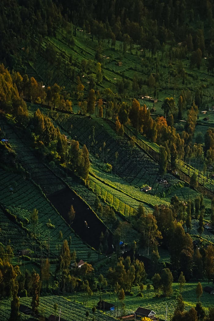 Free stock photo of indonesia travel, nature photography