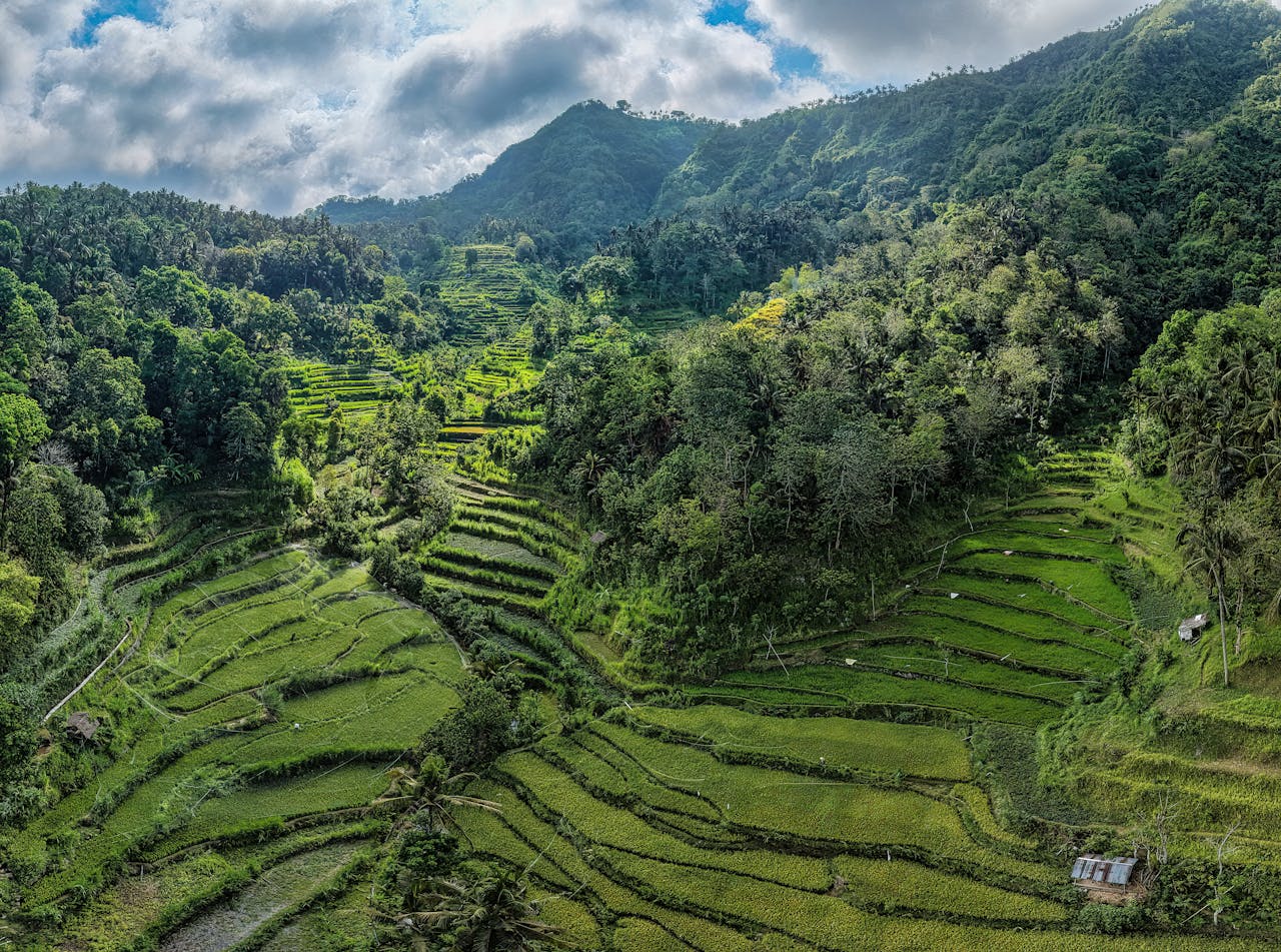 stunning-rice-terraces-in-bali-indonesia-35343781