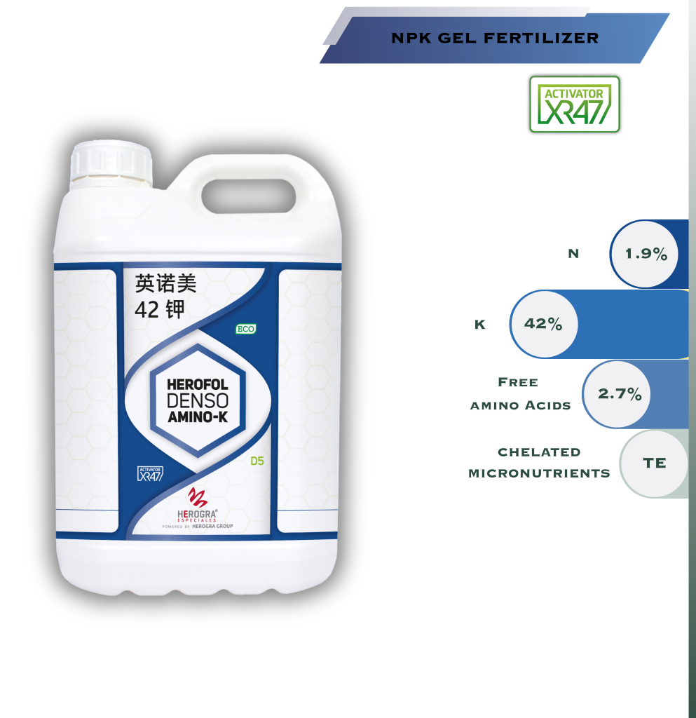 denso aminok