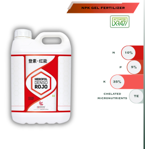 denso rojo