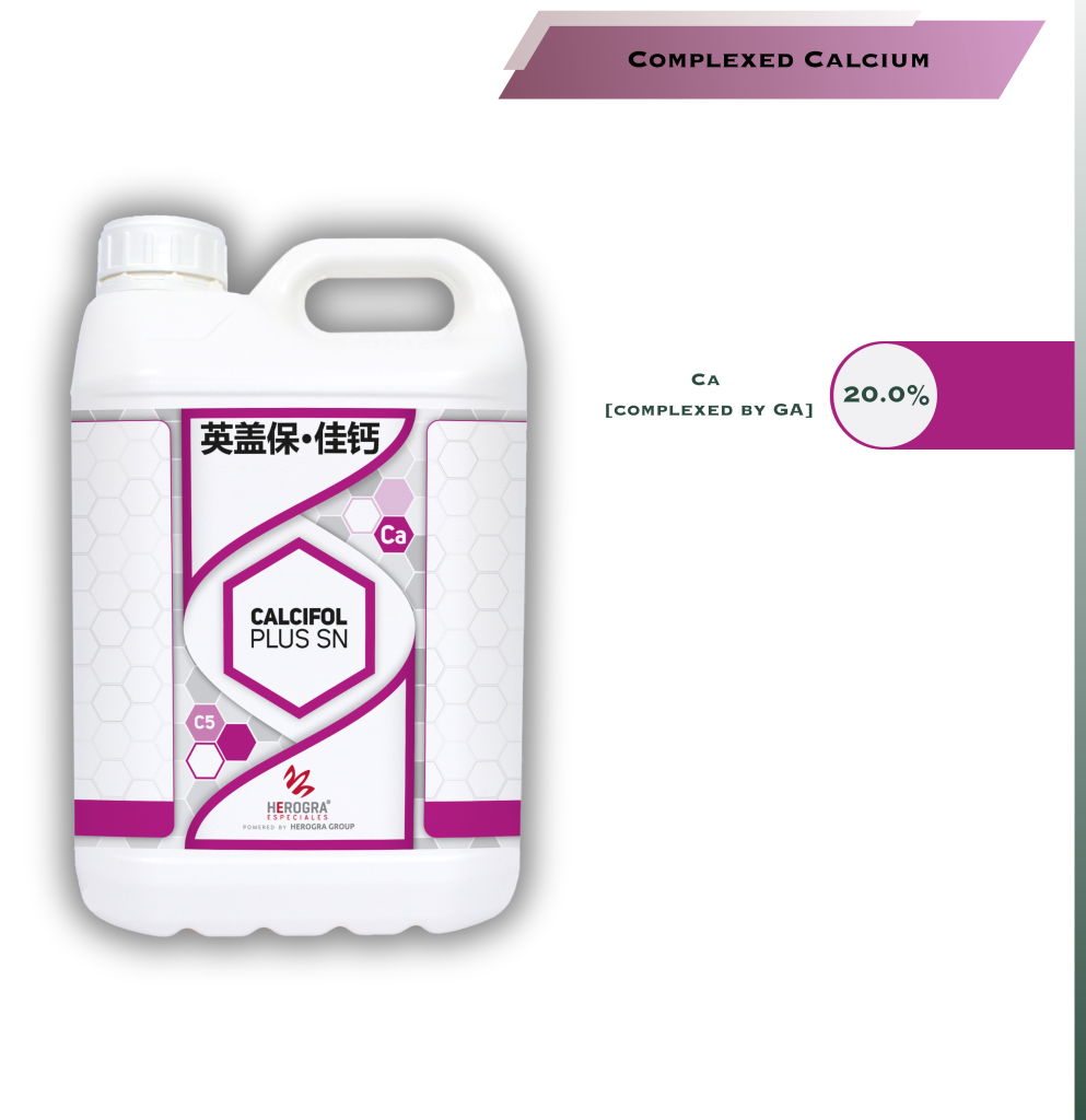 calcifol plus sn