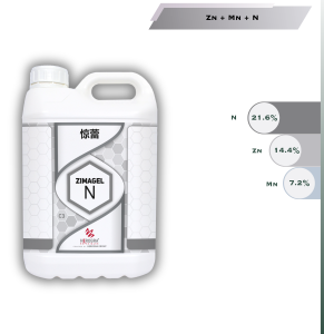 Zimagel N 291x300