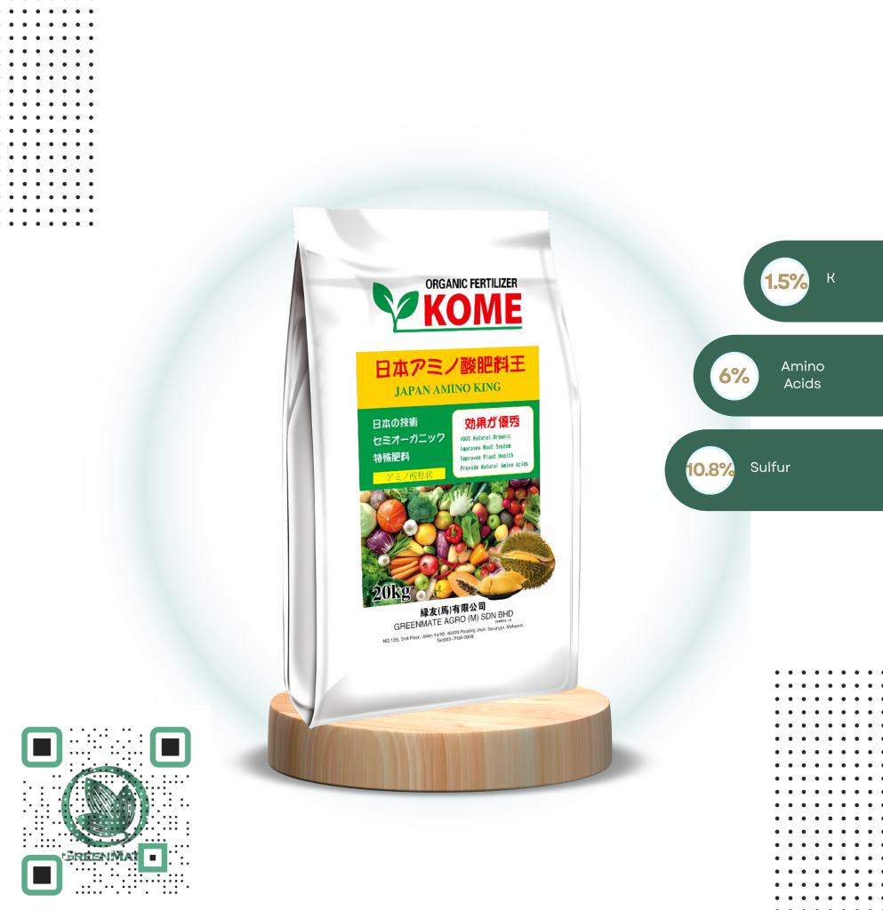 kome (1)