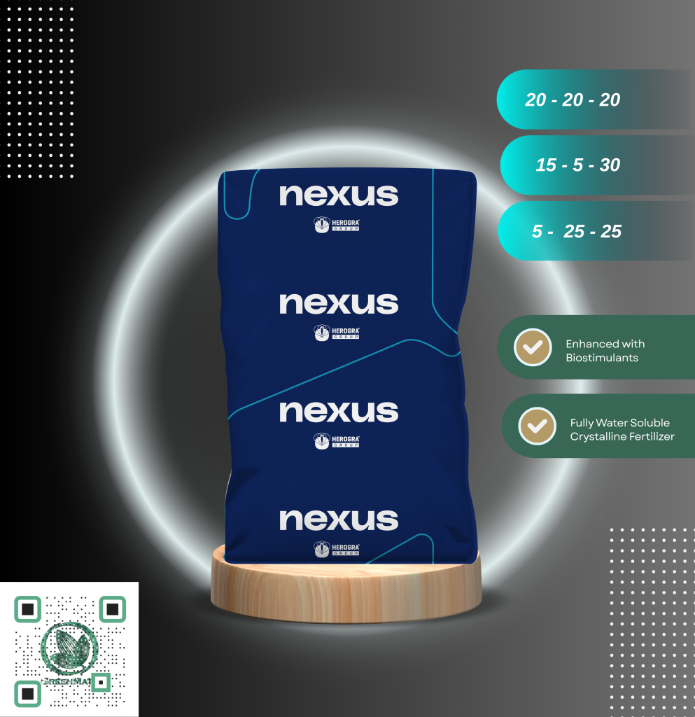 nexus (1)